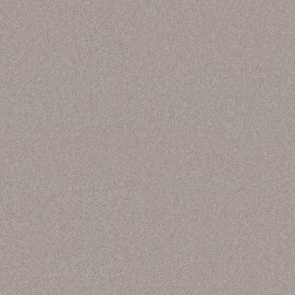 Shaw Floors Carpet Your Comfort II Shoreline Haze 0128S_5E747