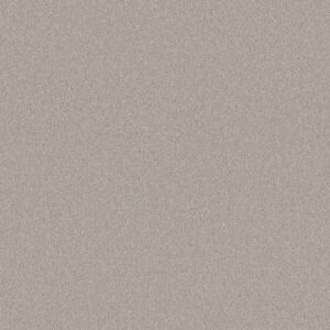 Shaw Floors Carpet Your Comfort II Need A Hug 0129S_5E747