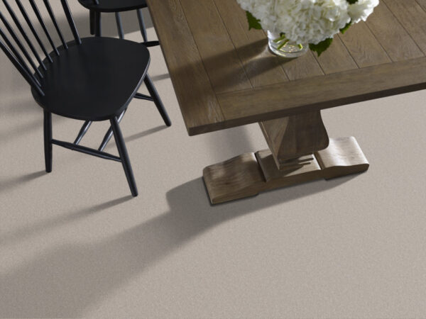 Shaw Floors Carpet Your Comfort II Need A Hug 0129S_5E747 - Image 2