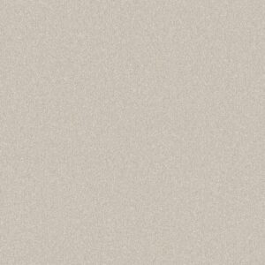Shaw Floors Carpet Your Comfort II Champagne Toast 0153S_5E747