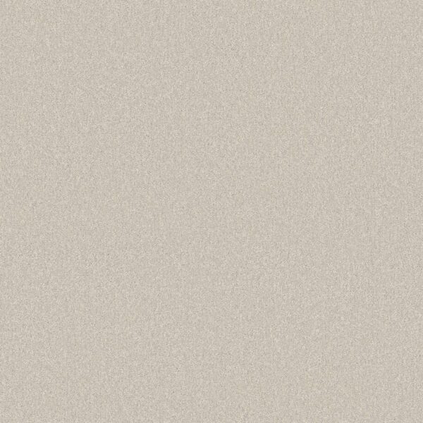 Shaw Floors Carpet Your Comfort II Champagne Toast 0153S_5E747