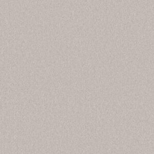 Shaw Floors Carpet Your Comfort II Whitewashed Frame 0154S_5E747