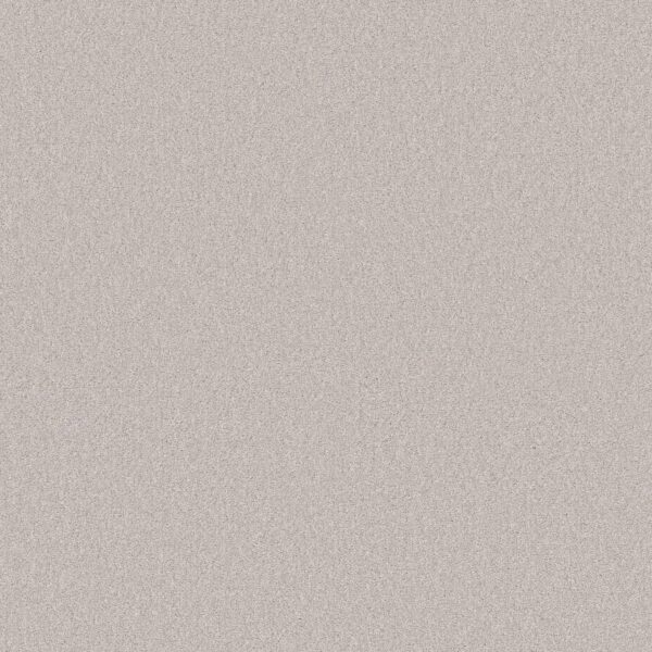 Shaw Floors Carpet Your Comfort II Whitewashed Frame 0154S_5E747