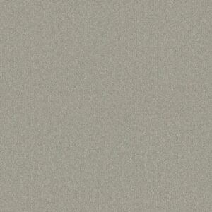 Shaw Floors Carpet Your Comfort II Willow Tree 0330S_5E747