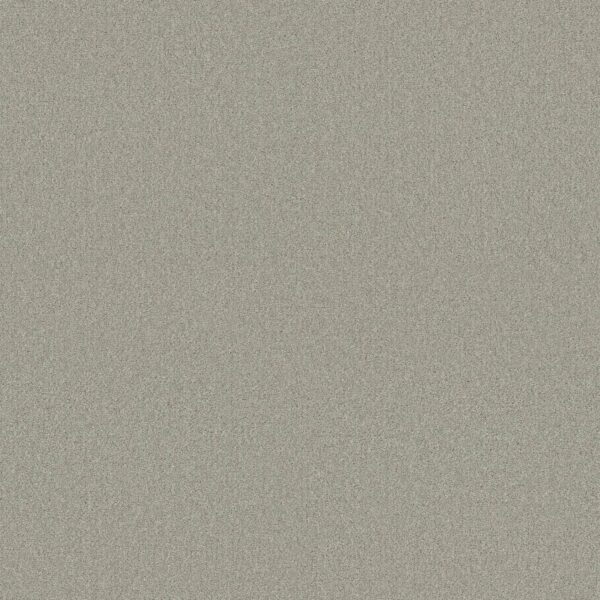 Shaw Floors Carpet Your Comfort II Willow Tree 0330S_5E747