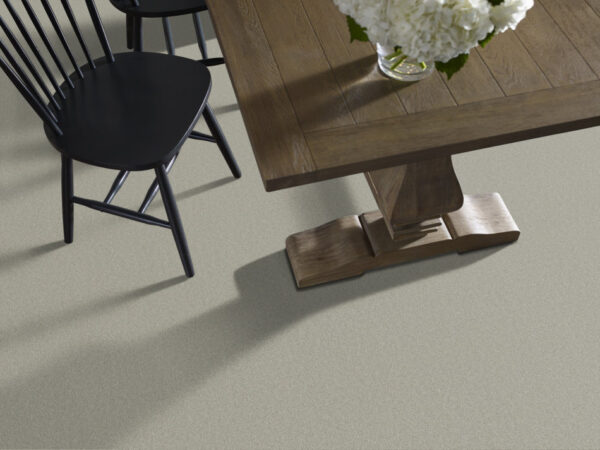 Shaw Floors Carpet Your Comfort II Willow Tree 0330S_5E747 - Image 2