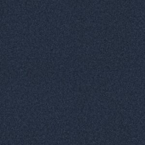 Shaw Floors Carpet Your Comfort II Sail Away 0436S_5E747