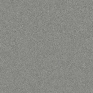 Shaw Floors Carpet Your Comfort II Cool Breeze 0525S_5E747