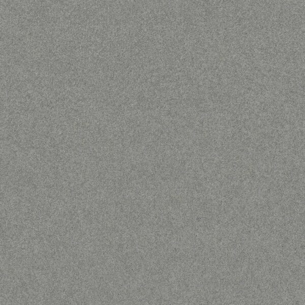 Shaw Floors Carpet Your Comfort II Cool Breeze 0525S_5E747