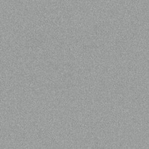 Shaw Floors Carpet Your Comfort II Polished Silver 0538S_5E747