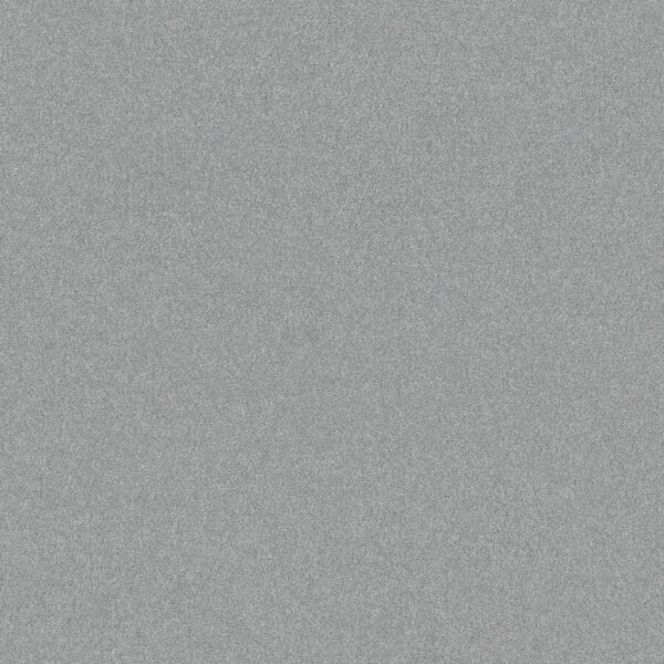 Shaw Floors Carpet Your Comfort II Polished Silver 0538S_5E747