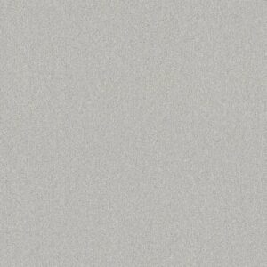 Shaw Floors Carpet Your Comfort II Morning Dew 0539S_5E747
