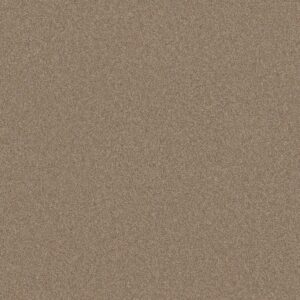 Shaw Floors Carpet Your Comfort II Falling Leaves 0720S_5E747