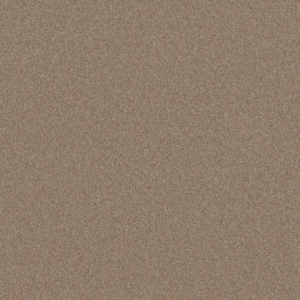 Shaw Floors Carpet Your Comfort II Falling Leaves 0720S_5E747