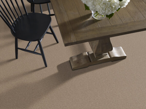 Shaw Floors Carpet Your Comfort II Falling Leaves 0720S_5E747 - Image 2