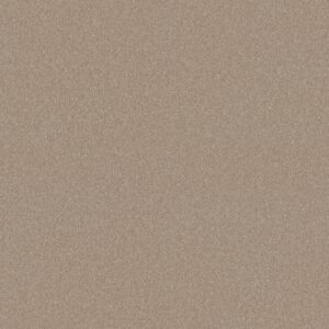 Shaw Floors Carpet Your Comfort II Walk On The Beach 0721S_5E747