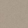Shaw Floors Carpet Your Comfort II My Haven 0743S_5E747