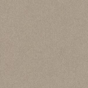 Shaw Floors Carpet Your Comfort II My Haven 0743S_5E747