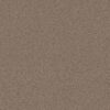 Shaw Floors Carpet Your Comfort II Camping Trip 0749S_5E747