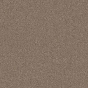 Shaw Floors Carpet Your Comfort II Camping Trip 0749S_5E747