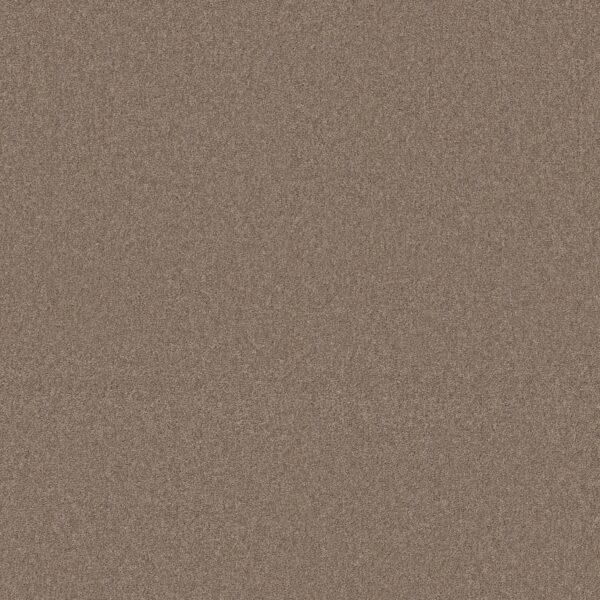 Shaw Floors Carpet Your Comfort II Camping Trip 0749S_5E747