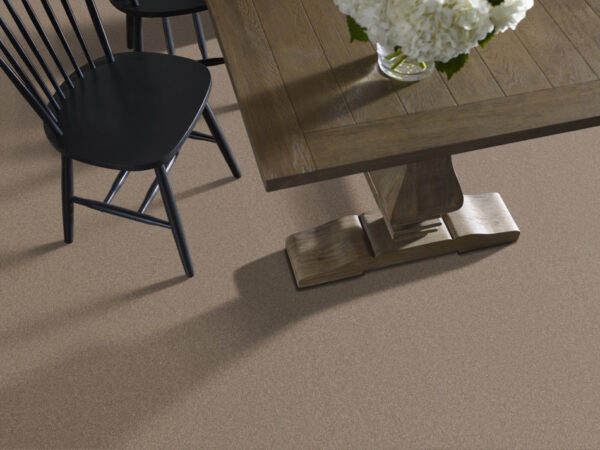 Shaw Floors Carpet Your Comfort II Camping Trip 0749S_5E747 - Image 2