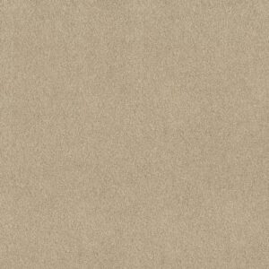 Shaw Floors Carpet Comforting I Sesame Seed 00130_5E749