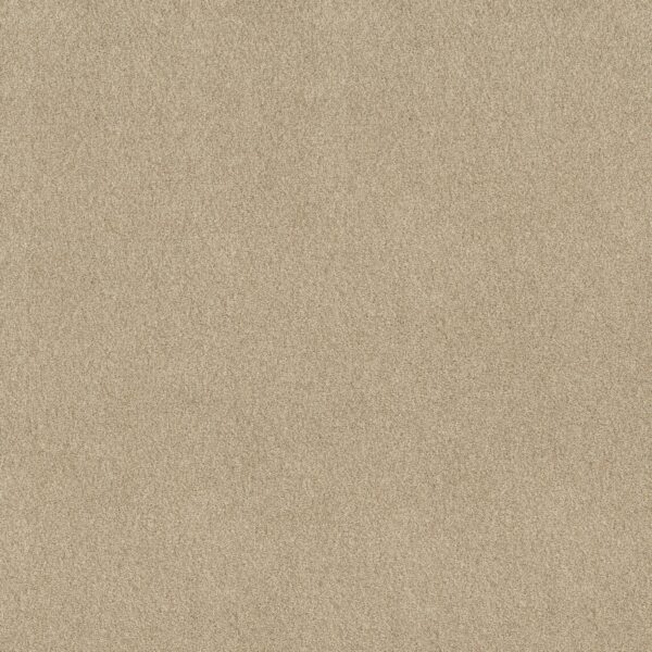 Shaw Floors Carpet Comforting I Sesame Seed 00130_5E749