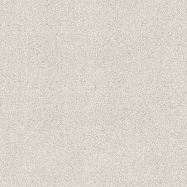 Shaw Floors Carpet Comforting I Pearly Gates 00142_5E749