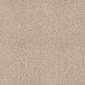 Shaw Floors Carpet Comforting I Mesa 00143_5E749