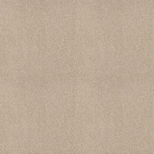 Shaw Floors Carpet Comforting I Mesa 00143_5E749