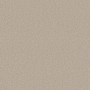 Shaw Floors Carpet Comforting I Parchment 00144_5E749