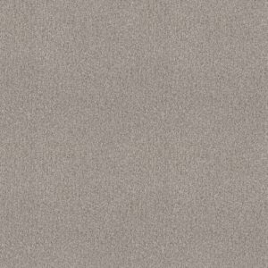 Shaw Floors Carpet Comforting I French Buff 00146_5E749