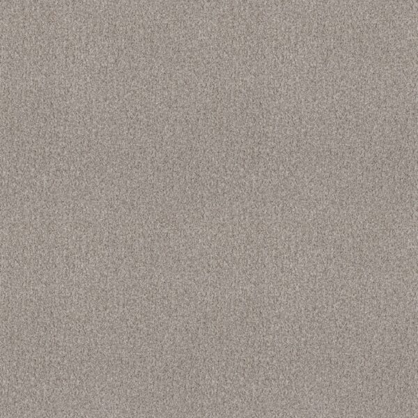 Shaw Floors Carpet Comforting I French Buff 00146_5E749