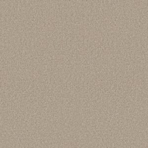 Shaw Floors Carpet Comforting I Chamois 00147_5E749