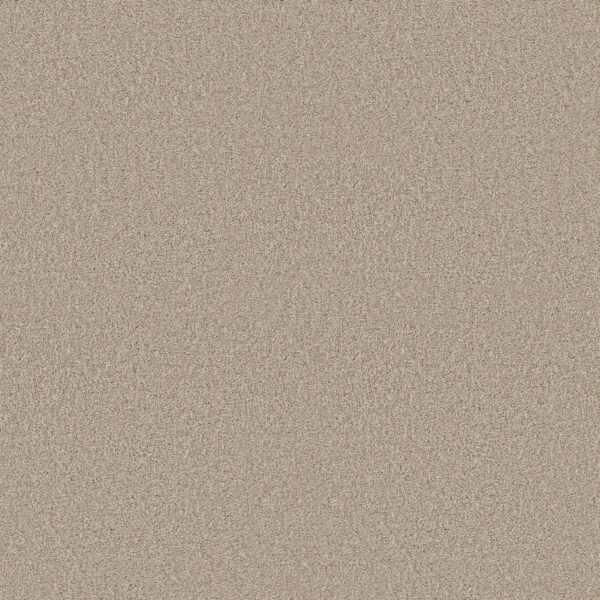 Shaw Floors Carpet Comforting I Chamois 00147_5E749