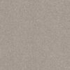 Shaw Floors Carpet Comforting I Anonymous 00148_5E749