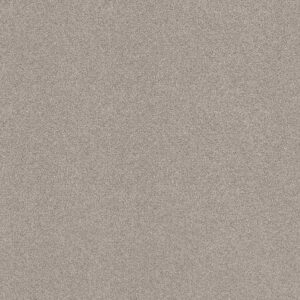 Shaw Floors Carpet Comforting I Anonymous 00148_5E749
