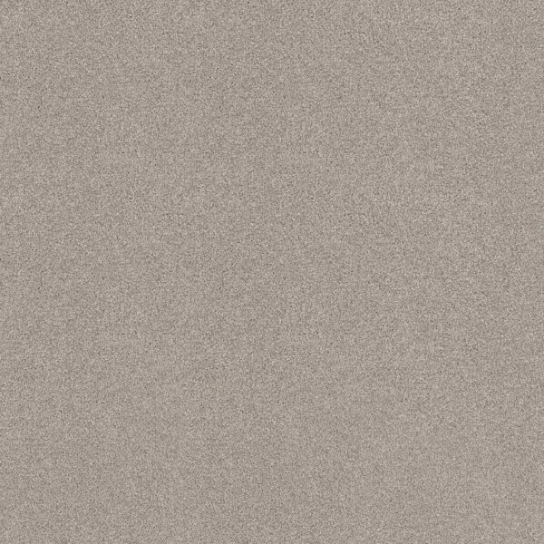 Shaw Floors Carpet Comforting I Anonymous 00148_5E749