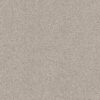 Shaw Floors Carpet Comforting I Dainty Lace 00149_5E749