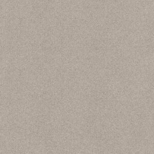 Shaw Floors Carpet Comforting I Dainty Lace 00149_5E749