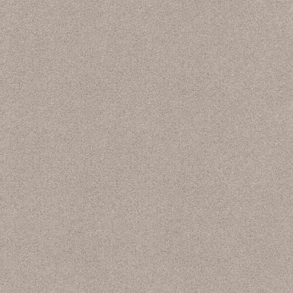 Shaw Floors Carpet Comforting I Dainty Lace 00149_5E749