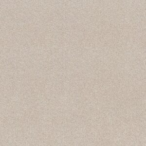 Shaw Floors Carpet Comforting I Porcelain 00163_5E749