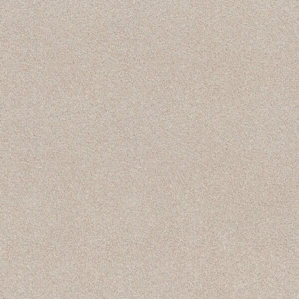 Shaw Floors Carpet Comforting I Porcelain 00163_5E749