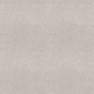 Shaw Floors Carpet Comforting I Thin Ice 00164_5E749