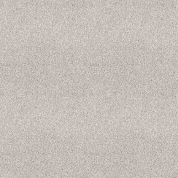 Shaw Floors Carpet Comforting I Thin Ice 00164_5E749