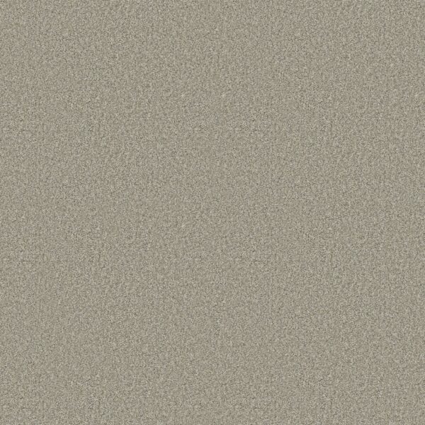 Shaw Floors Carpet Comforting I Sage Brush 00340_5E749