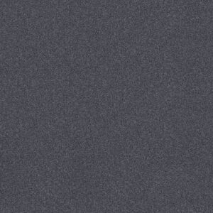 Shaw Floors Carpet Comforting I Extreme 00450_5E749