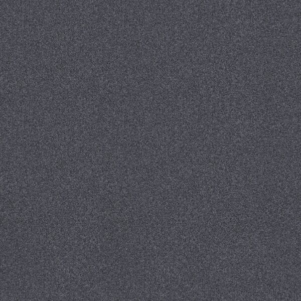 Shaw Floors Carpet Comforting I Extreme 00450_5E749