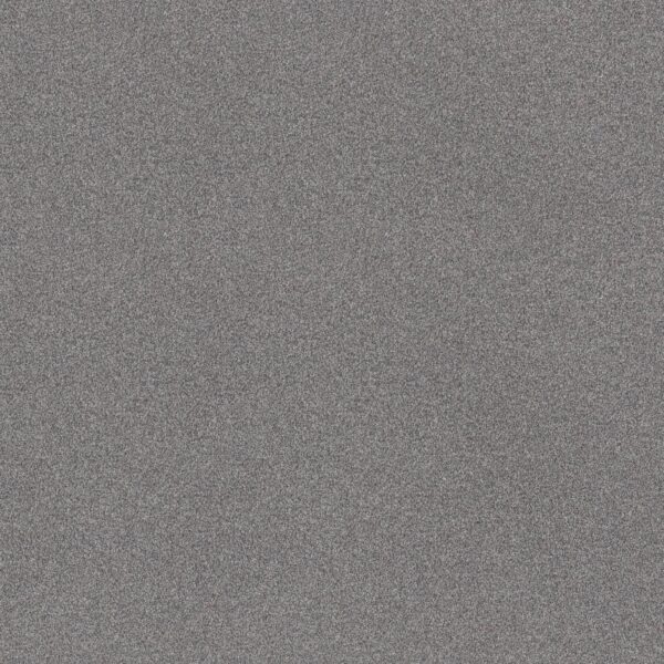 Shaw Floors Carpet Comforting I Wet Rock 00520_5E749